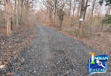 झिम्मेला रस्त्याची दुरवस्था; ग्रामस्थ त्रस्त, तातडीने दुरुस्तीची मागणी