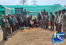 पर्यावरण दिनी वृक्षारोपणातून दिला निसर्ग संवर्धनाचा संदेश जागतिक पर्यावरण दिनानिमित्त पत्रकारांच्या उपस्थितीत वन विभागाचा वृक्षारोपण उपक्रम